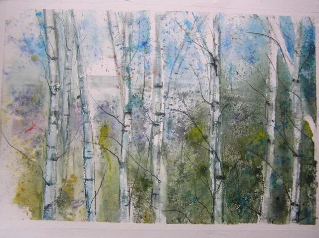 Silver Birch