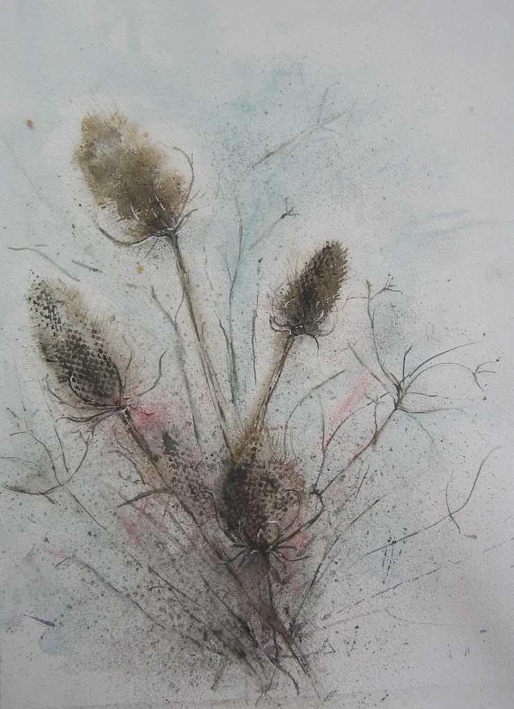Teasels