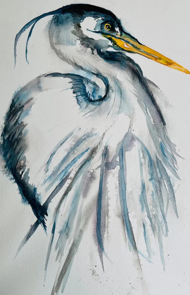 Heron (watercolour)